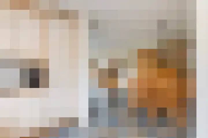 Reaal 5 Dronten thumbnail 21