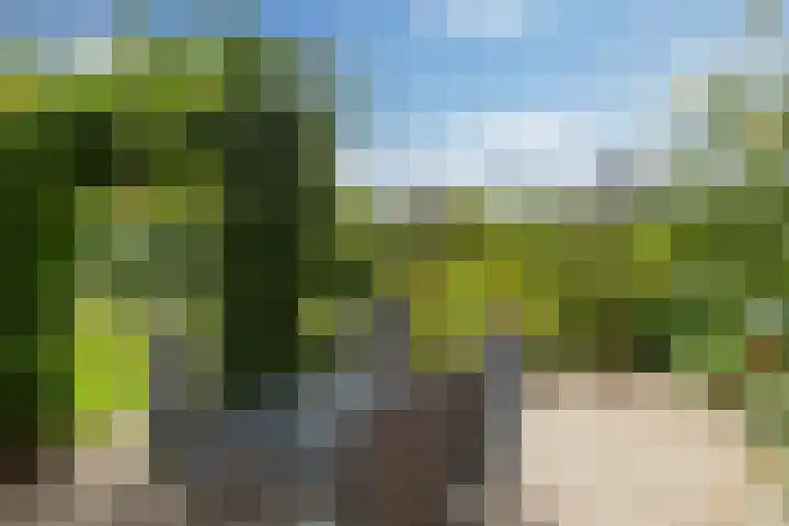 Reaal 5 Dronten thumbnail 32