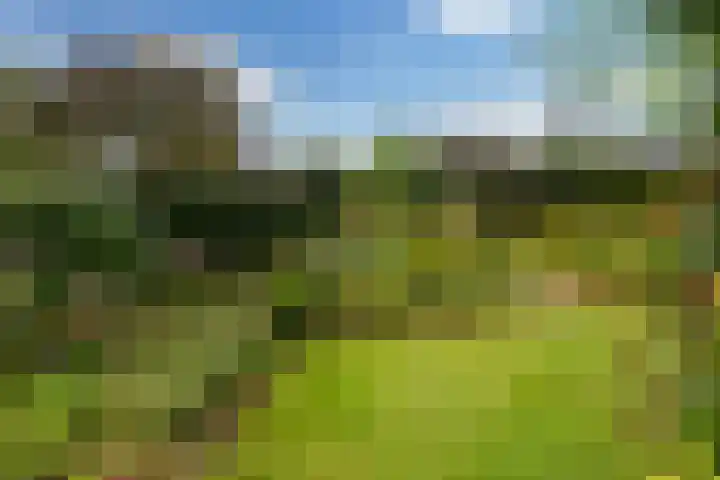 Reaal 5 Dronten thumbnail 36