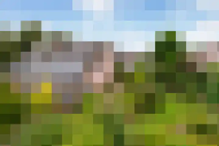 Reaal 5 Dronten thumbnail 38