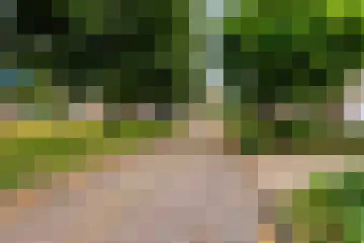 Reaal 5 Dronten thumbnail 5