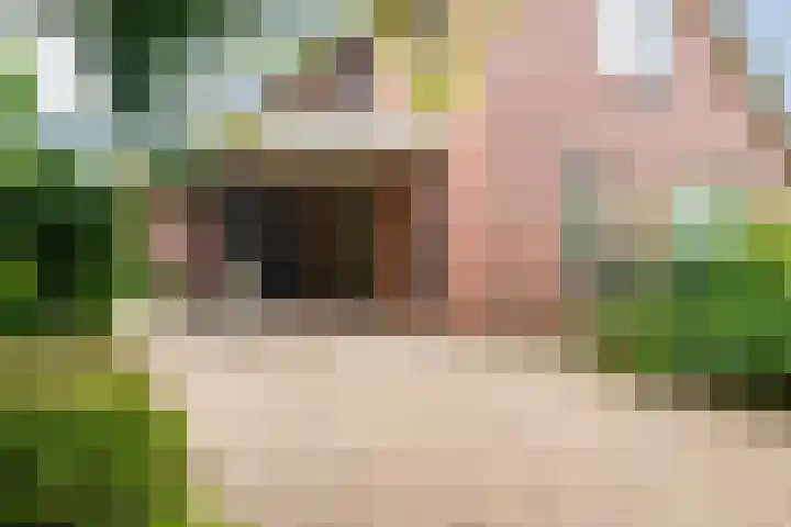 Reaal 5 Dronten thumbnail 7