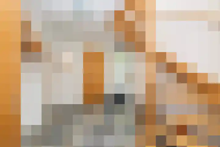 Reaal 5 Dronten thumbnail 8