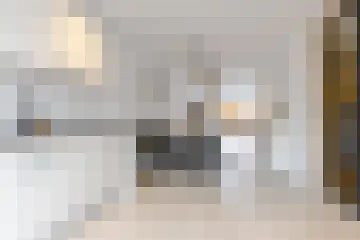 Reaal 52 Hoorn thumbnail 11