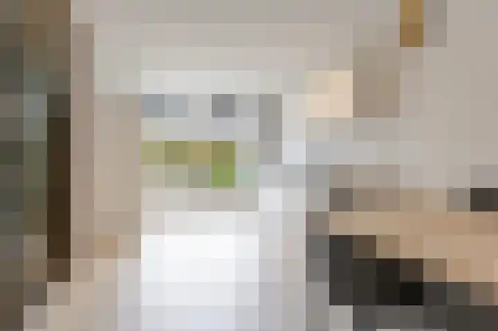Reaal 52 Hoorn thumbnail 13