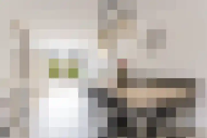 Reaal 52 Hoorn thumbnail 18