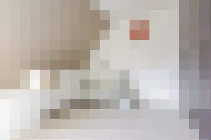 Reaal 52 Hoorn thumbnail 22
