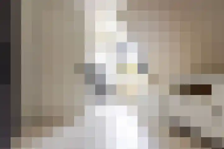 Reaal 52 Hoorn thumbnail 23