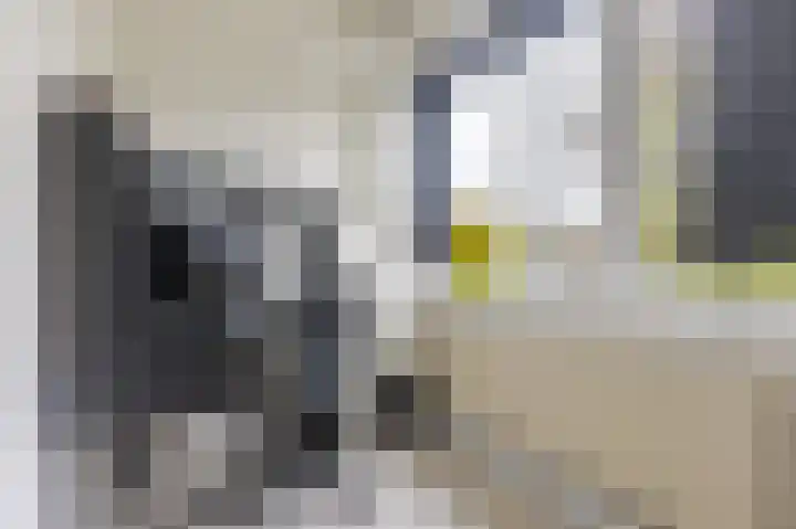 Reaal 52 Hoorn thumbnail 24