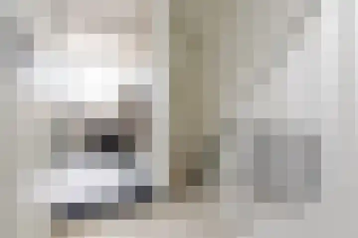 Reaal 52 Hoorn thumbnail 26
