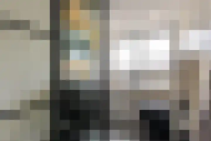 Reaal 52 Hoorn thumbnail 27