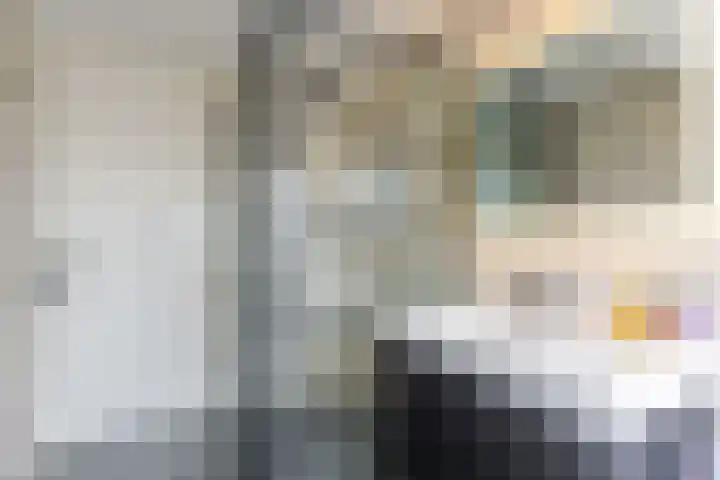 Reaal 52 Hoorn thumbnail 29