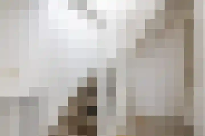 Reaal 52 Hoorn thumbnail 30