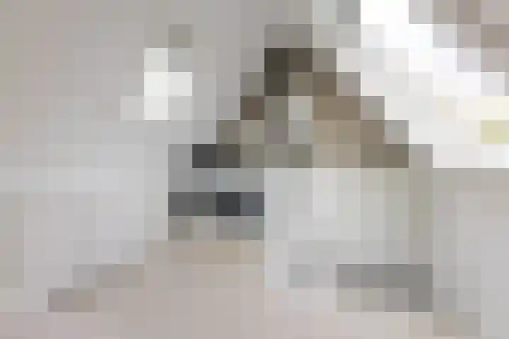 Reaal 52 Hoorn thumbnail 31