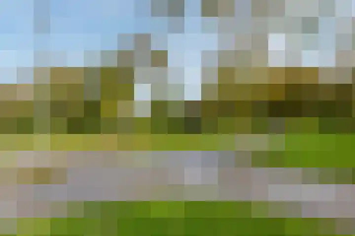 Reaal 52 Hoorn thumbnail 39