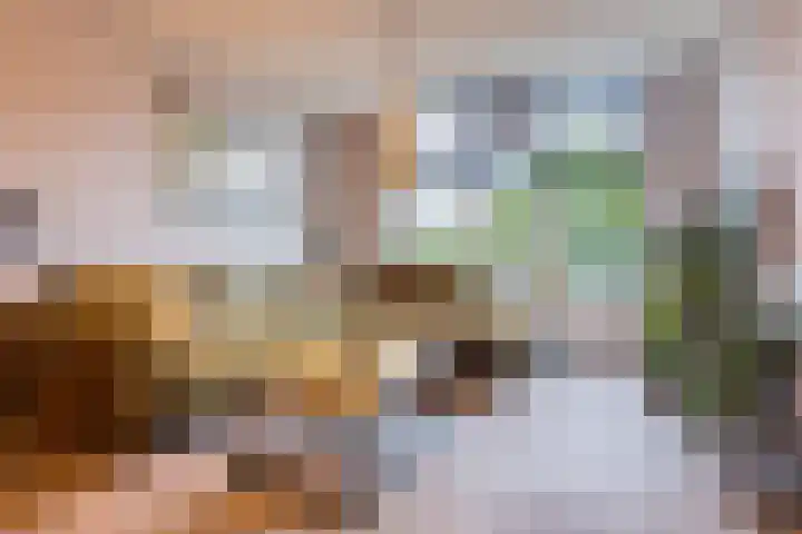 Reaal 55 Hoorn thumbnail 10