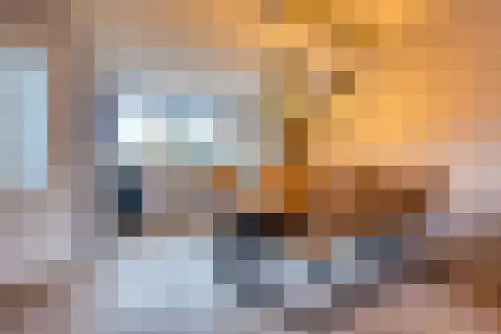 Reaal 55 Hoorn thumbnail 16