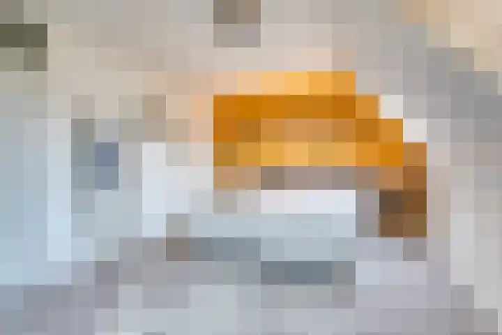 Reaal 55 Hoorn thumbnail 30