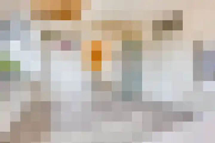 Reaal 55 Hoorn thumbnail 31