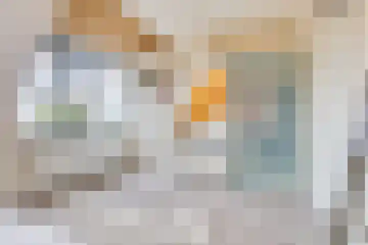 Reaal 55 Hoorn thumbnail 32