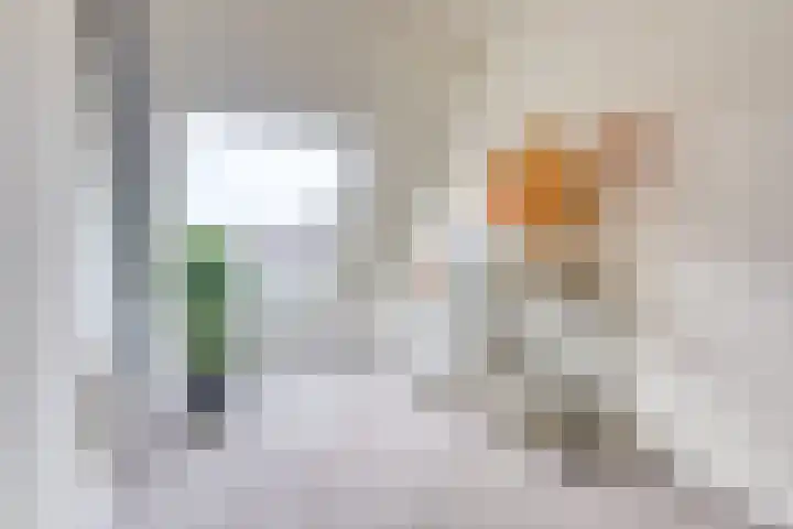 Reaal 55 Hoorn thumbnail 33