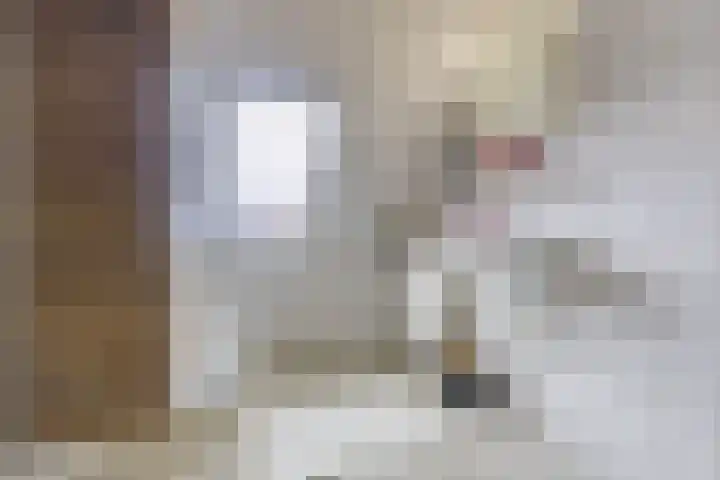 Reaal 55 Hoorn thumbnail 35