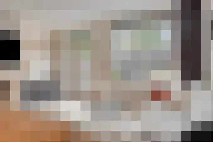 Reaal 55 Hoorn thumbnail 41
