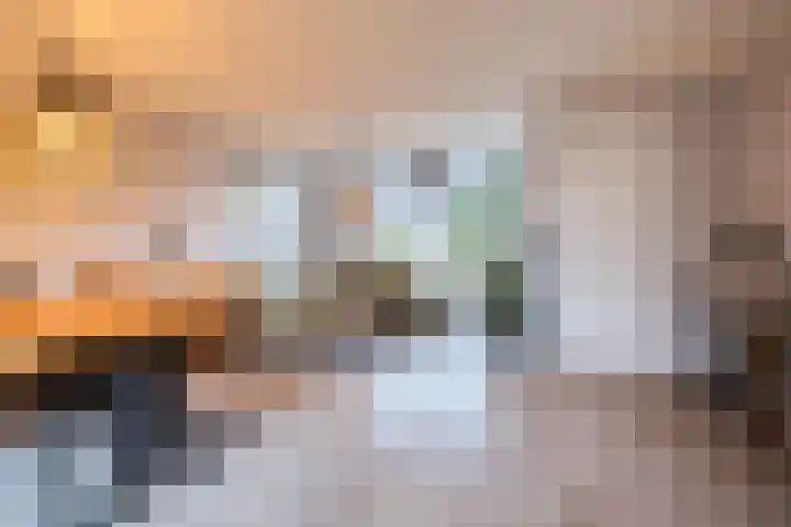 Reaal 55 Hoorn thumbnail 7