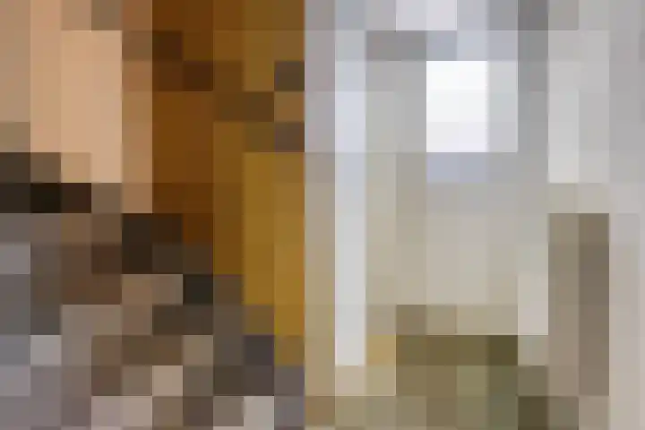 Reaal 55 Hoorn thumbnail 9