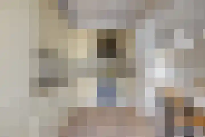 Reaalhof 6 Valkenswaard thumbnail 16