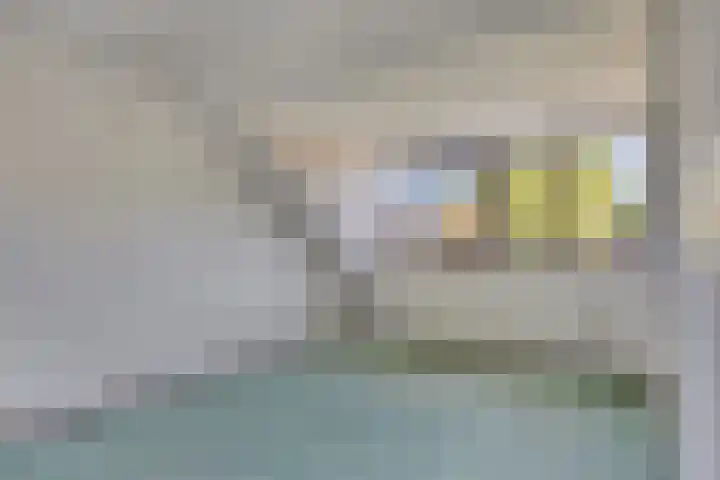 Reaalhof 6 Valkenswaard thumbnail 18