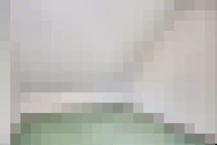 Reaalhof 6 Valkenswaard thumbnail 26
