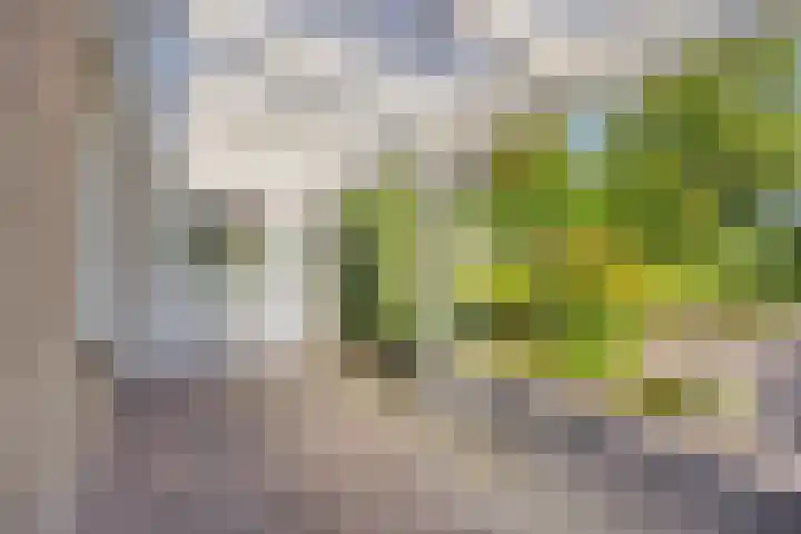 Reaalhof 6 Valkenswaard thumbnail 28