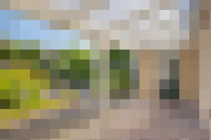 Reaalhof 6 Valkenswaard thumbnail 29