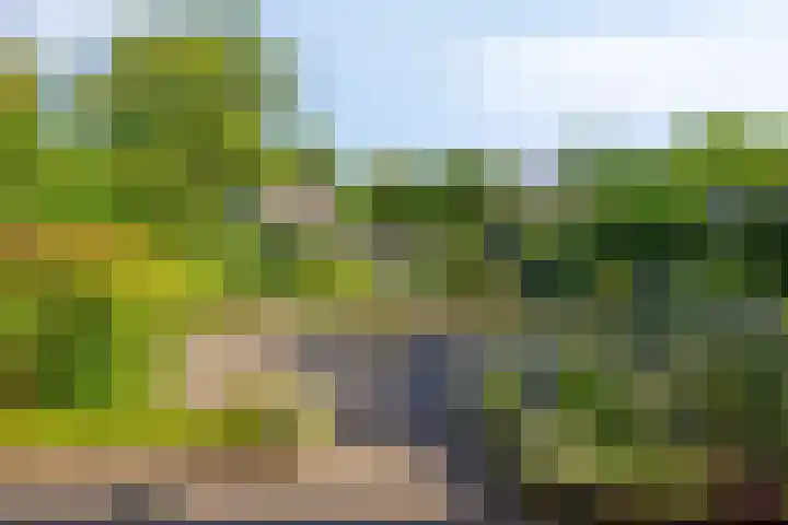 Reaalhof 6 Valkenswaard thumbnail 30