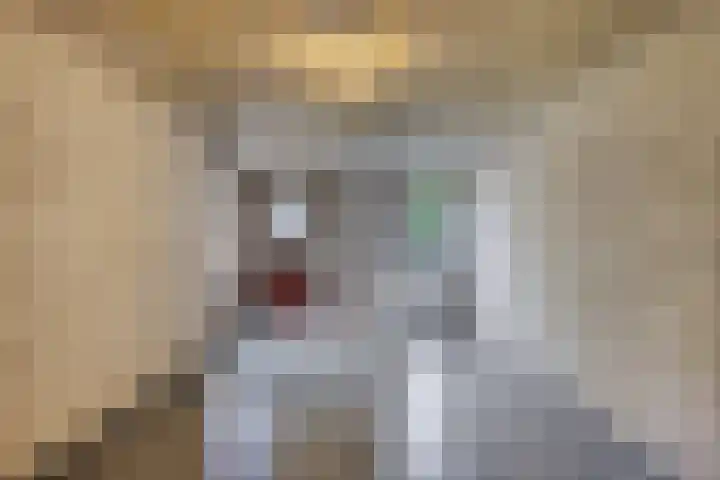 Reaalhof 6 Valkenswaard thumbnail 33
