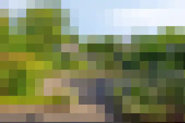 Reaalhof 6 Valkenswaard thumbnail 4