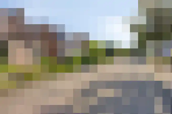 Reaalhof 6 Valkenswaard thumbnail 5