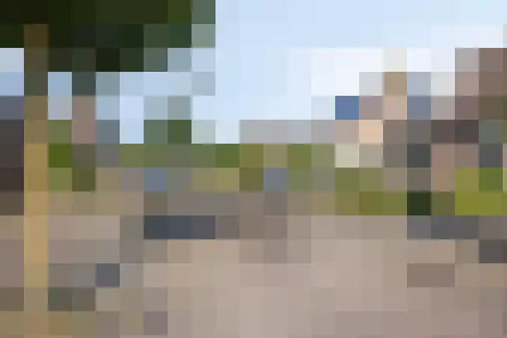 Reaalhof 6 Valkenswaard thumbnail 6