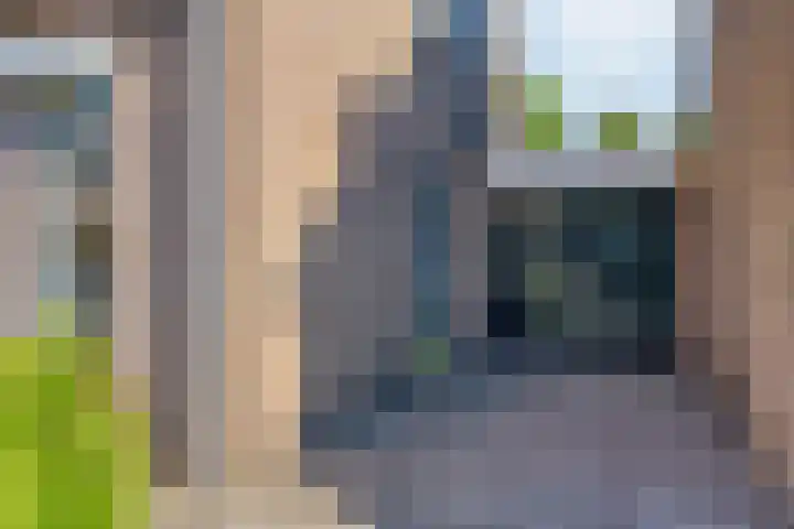 Reaalhof 6 Valkenswaard thumbnail 7