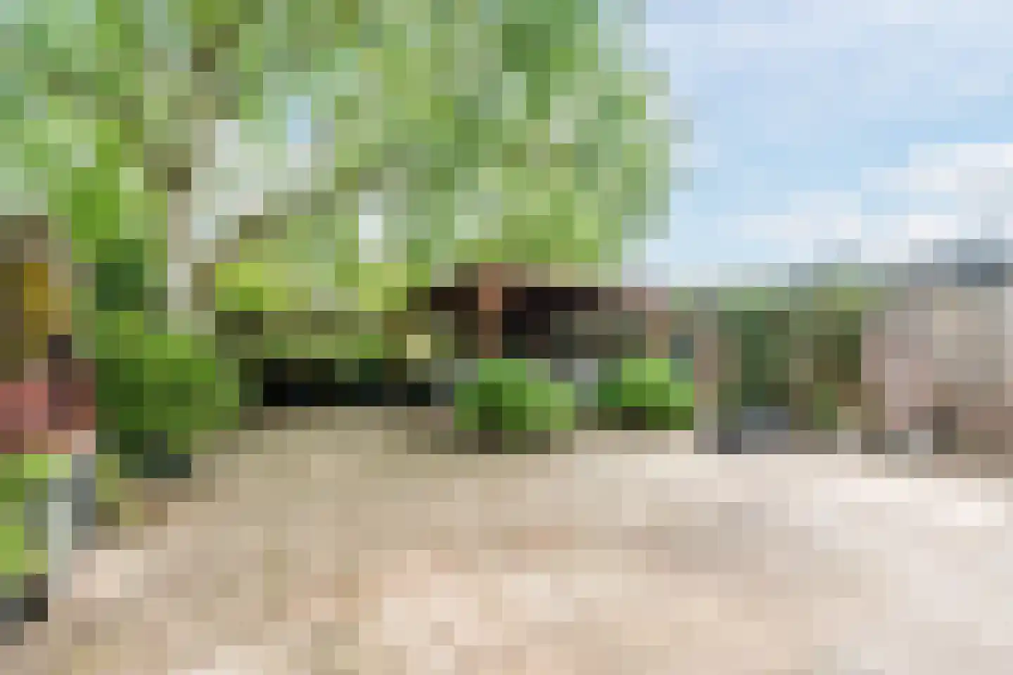 Reaalhof 7 Valkenswaard thumbnail 28
