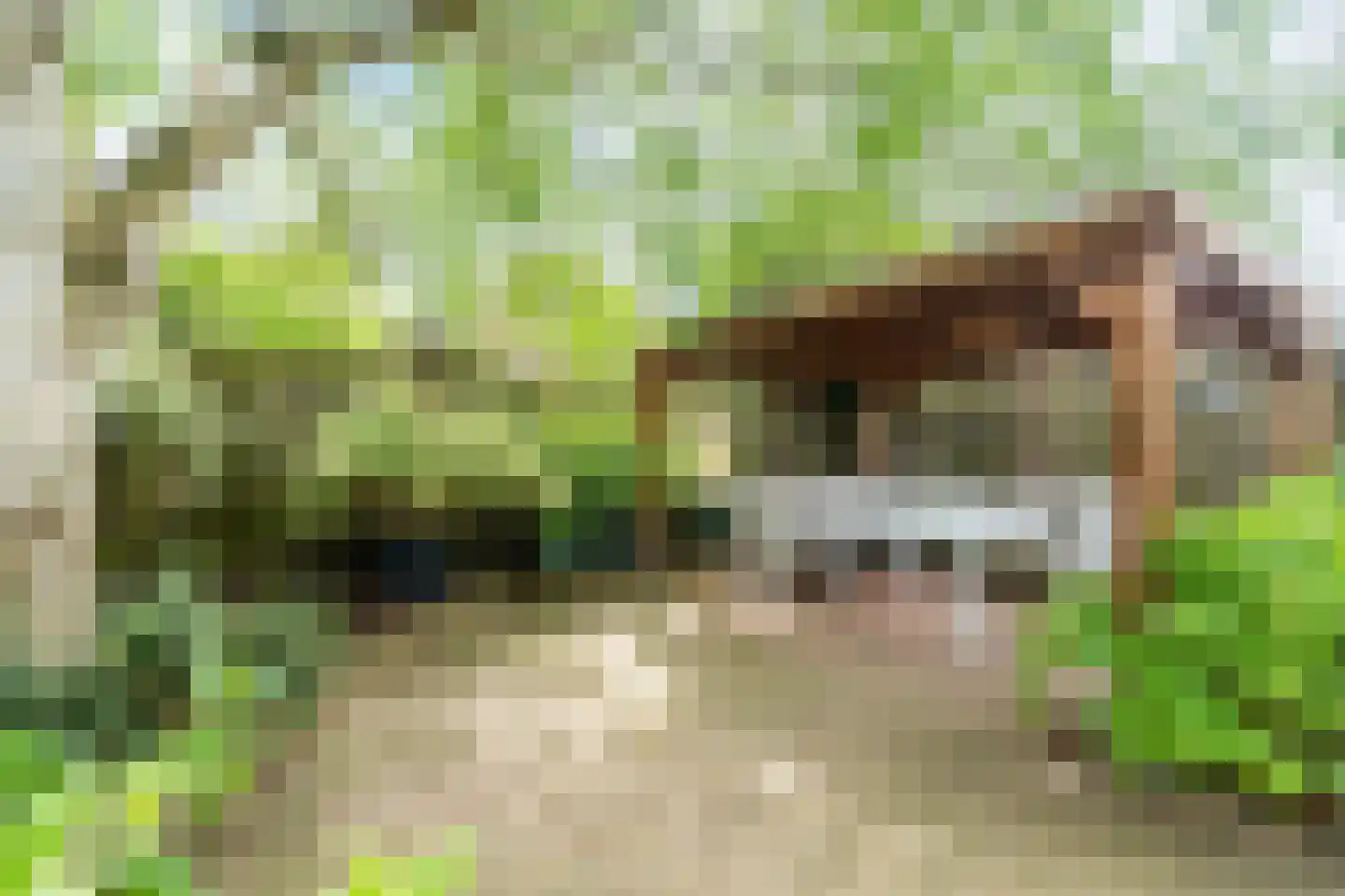 Reaalhof 7 Valkenswaard thumbnail 29