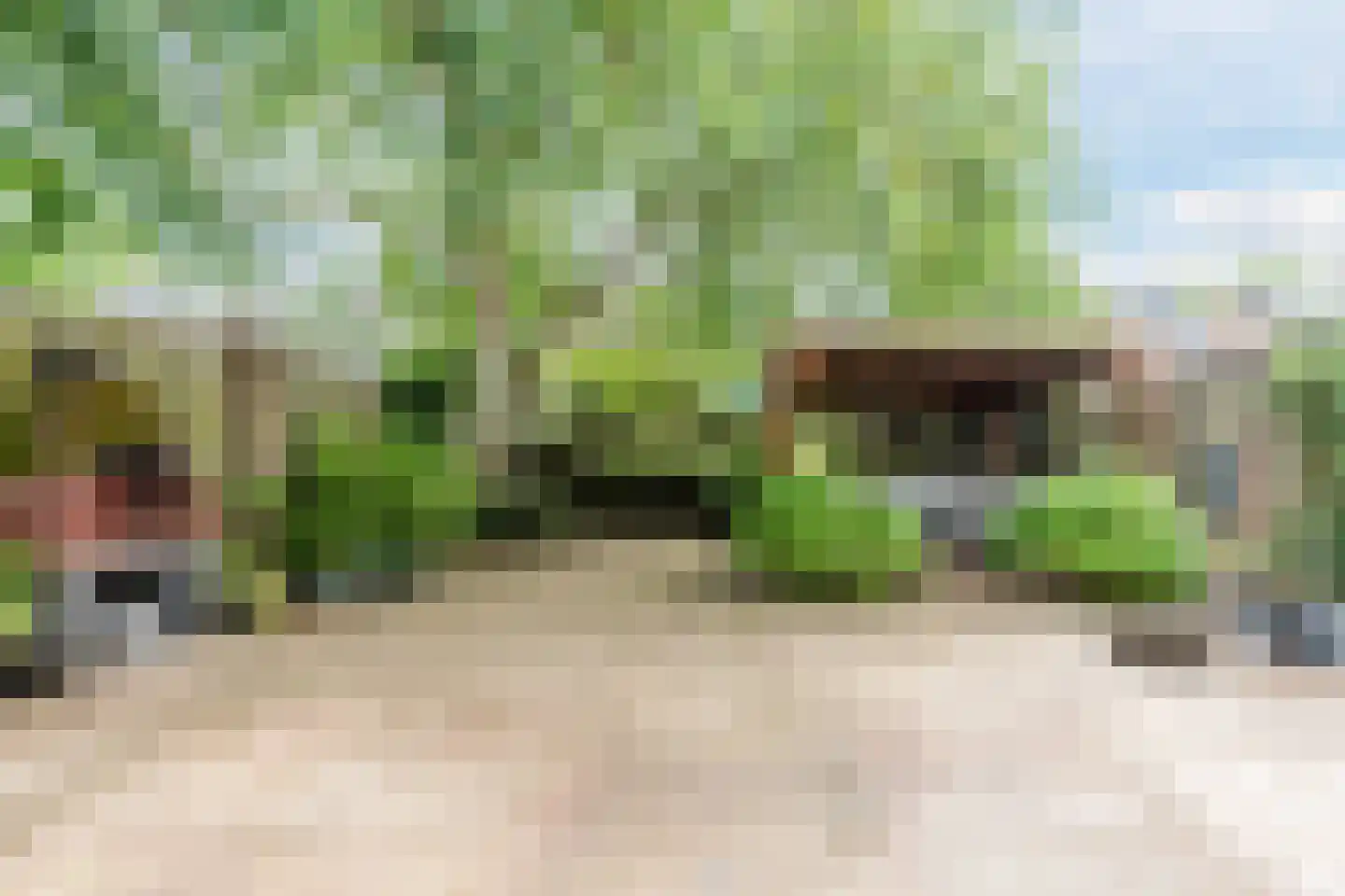 Reaalhof 7 Valkenswaard thumbnail 5