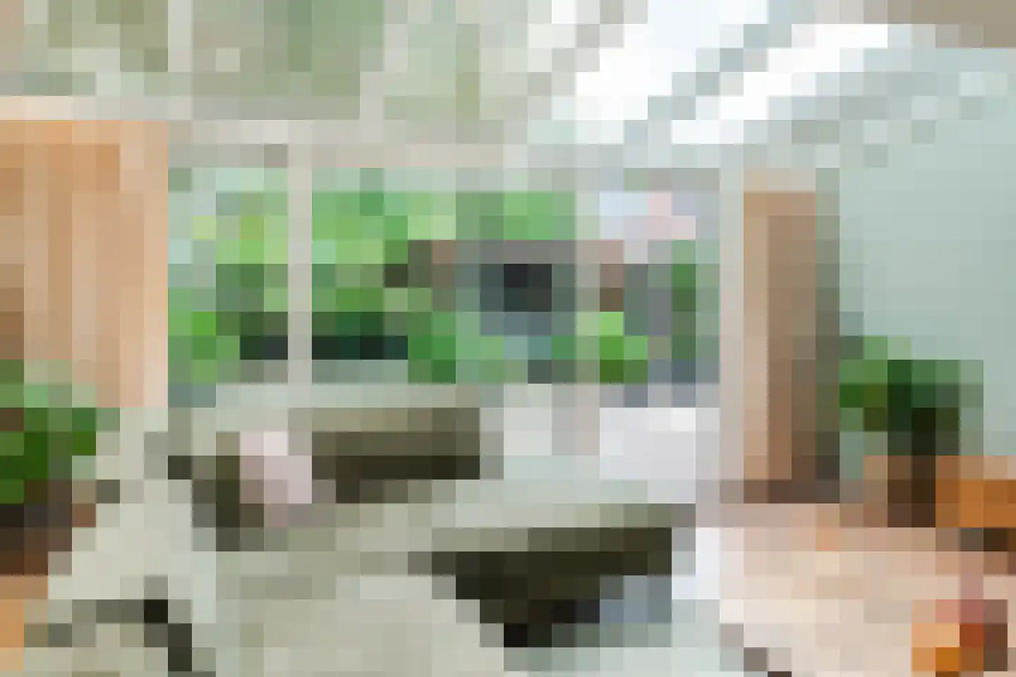 Reaalhof 7 Valkenswaard thumbnail 9