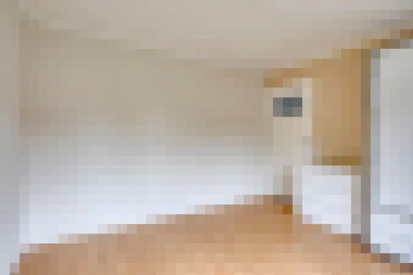 Reaalruwe 76 Maastricht thumbnail 14