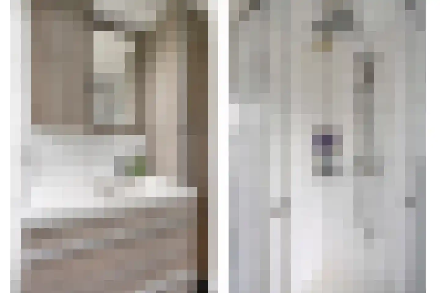 Reaalruwe 76 Maastricht thumbnail 17
