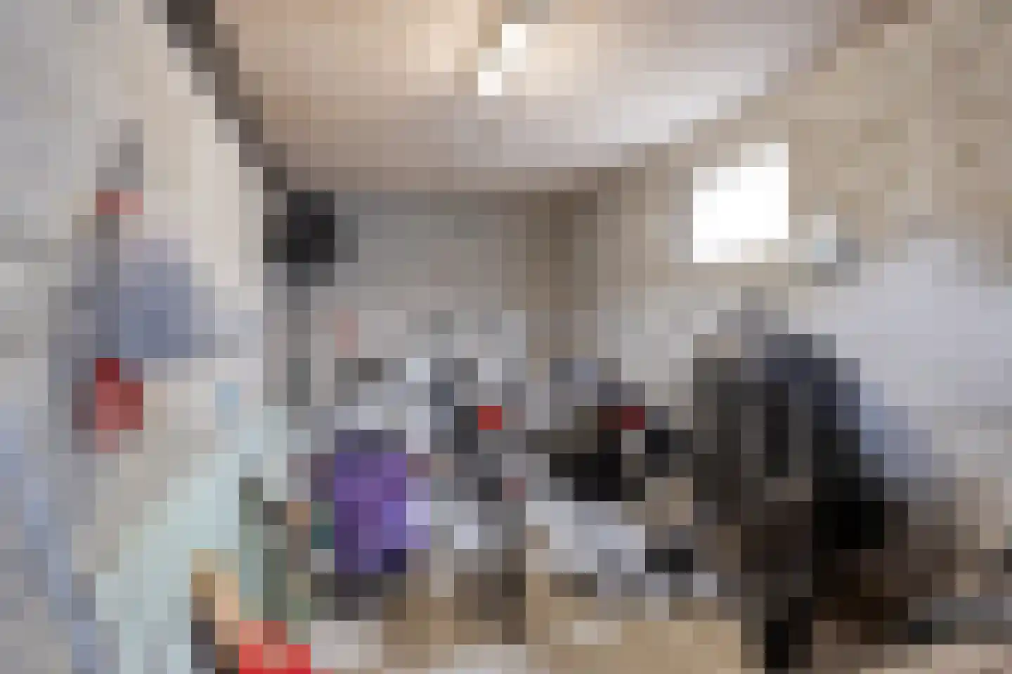 Reaalruwe 76 Maastricht thumbnail 25