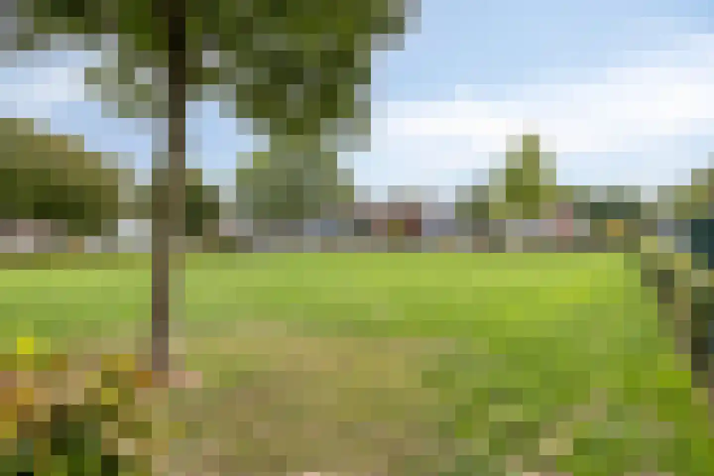 Reaalruwe 76 Maastricht thumbnail 30