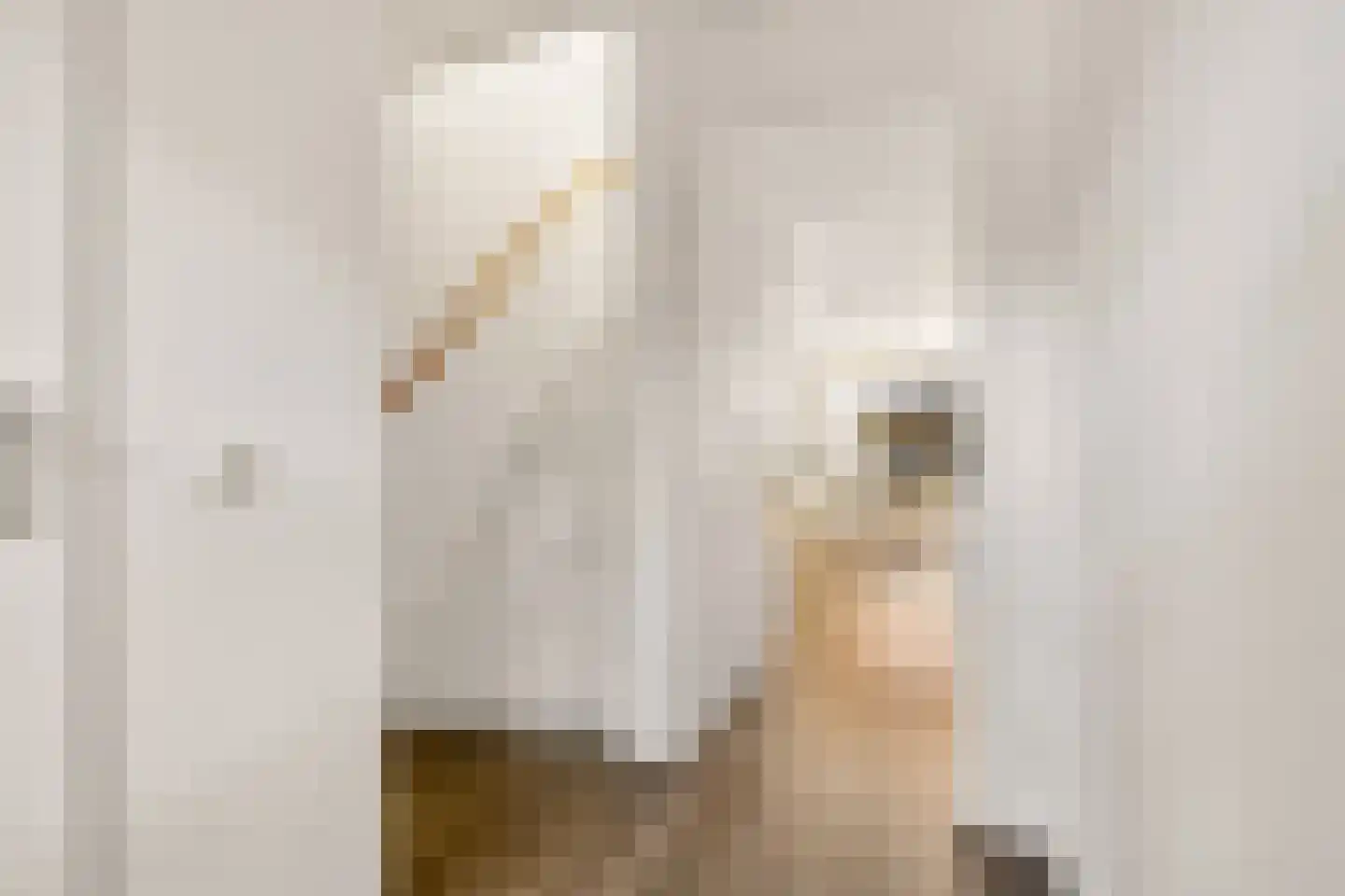 Reaalslag 29 Houten thumbnail 10