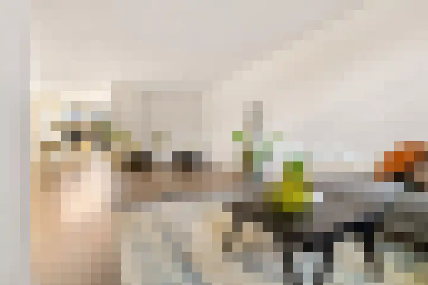 Reaalslag 29 Houten thumbnail 14